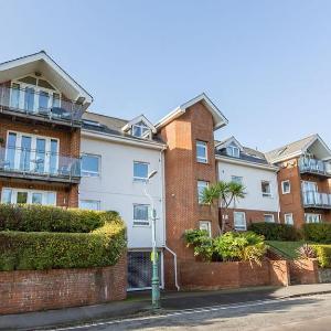 Daintree - Bournemouth