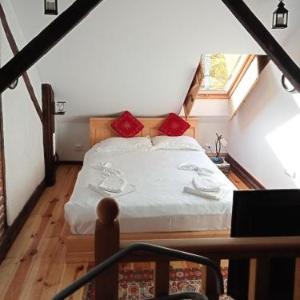 Residence Gölsch 161