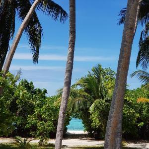 Vaali Maldives Island Escapes & Dive