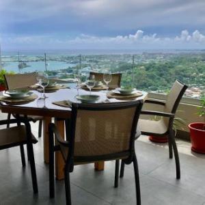 Alicia's Sky flat on the heights with nice view on the sea and Papeete