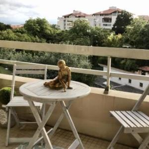 Beautiful apartment in Biarritz with balcony