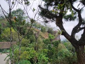 Kus Homestay, Borobudur