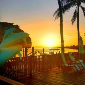 Conch Key Fishing Lodge & Marina