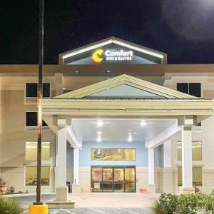 Comfort Inn & Suites Sarasota I75