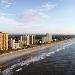 Hotels near Burroughs and Chapin Pavilion Place - Hilton Grand Vacations at Anderson Ocean Club