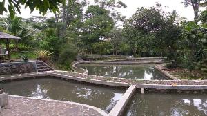 Villa desa cilimus view gunung ciremai, Kuningan