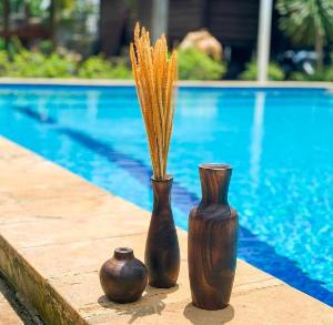 Villa Andrians Carita, Anyer