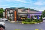 Swannanoa North Carolina Hotels - Comfort Inn Asheville East-Blue Ridge Pkwy Access