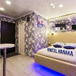 Hotel Hanaka 31 