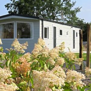 Holiday Home EuroParcs Resort Zilverstrand-1