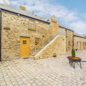 Wagtail Cottage - UK33096