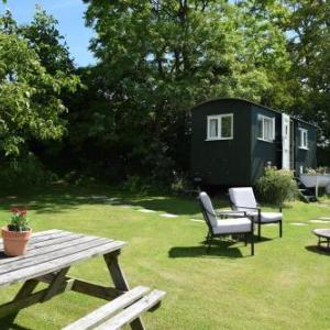 Under the Walnut Tree - Shepherds Hut