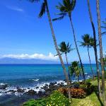 Mahina Surf Lahaina Hawaii