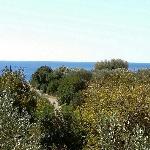 Exclusive Cottages are in S West Crete in a quiet olive grove near the sea