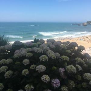 Appartement avec balcon à la Résidence Victoria Surf Biarritz