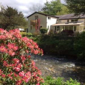 Immaculate 8-Bed House near Denbigh