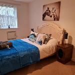 Apartment in Warrington 