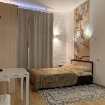 Apartment-studio Smolenskaya/Park Kultury Moscow 