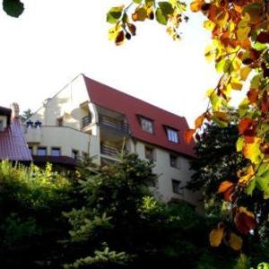 Hotel Carmen