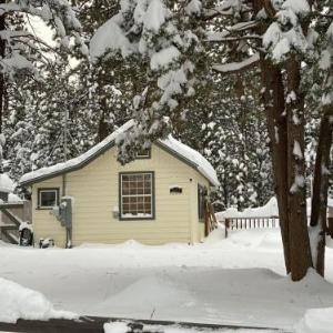 Winter Pines Cabin - 1898 by Big Bear Vacations