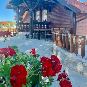 Vila Zorica Vodice