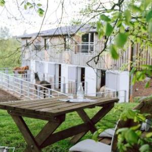Studio Zwei