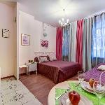 Cosy studio Уютная студия в историческом  центре Saint Petersburg 