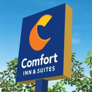 Comfort Inn & Suites Munising-Lakefront