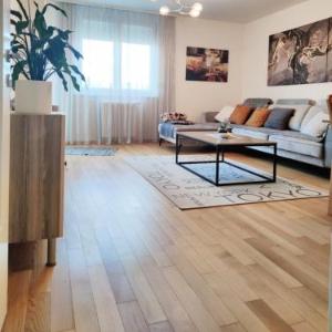 Avenoir Suite