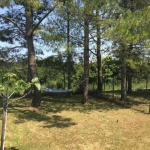 Gîte Les Sables-d'Olonne 5 pièces 8 personnes - FR-1-426-369