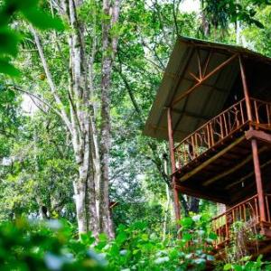 ELLA Eco Lodge Wellness & Yoga retreat