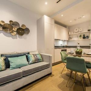 Palatial 1 Bedroom Apartment Chancery Lane