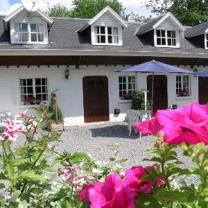 Nature Escape in Bohon