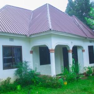 New Dream House