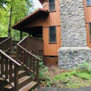 Southern Luxury Cabin with Fireplace and Grill