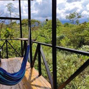 Onca Tours & Treehouses