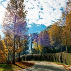 松之戀湖畔森林旅宿 The Pines