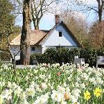 Romantic farmhouse close to the forest Amsterdam 
