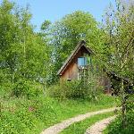 Fairytale cottage nestled between forest