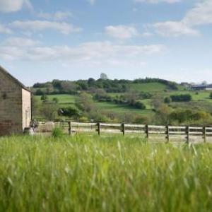 Curlew Cottage at Millfields Farm