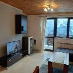 Apartment in Pamporovo 