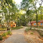 Chalets in Montignac 