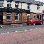 The White Lion 