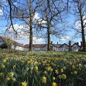 Great Witchingham B&B at The White Pheasant