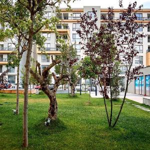 Apartament Kyra Onix Blue 