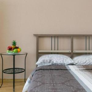 Welcome Apartment Превосходные апартаменты у метро парковка НГТУ