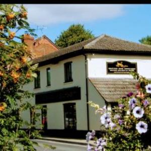 the swan stoford