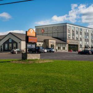 Amsterdam Inn & Suites Florenceville