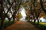 Witbank South Africa Hotels - Kievits Kroon Country Estate And Spa