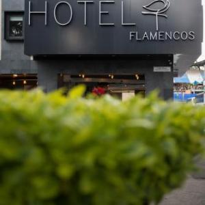 Hotels near Estadio GNP Seguros - Hotel Flamencos